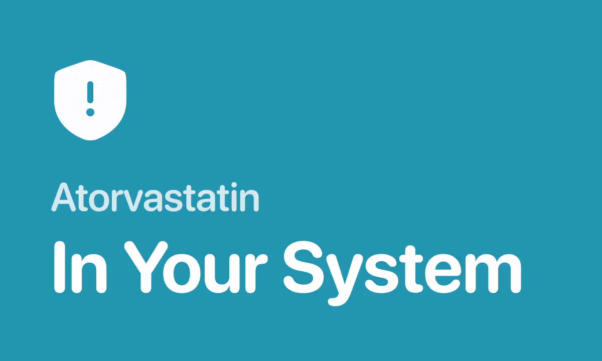 How long atorvastatin stays in your system