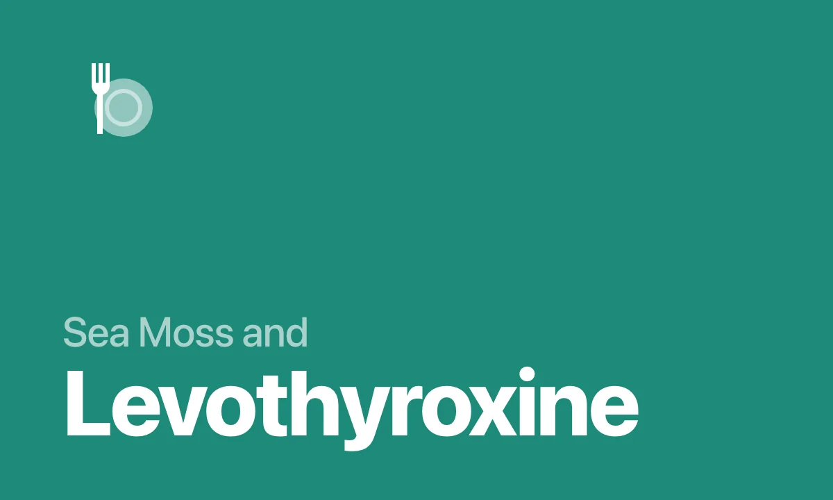 Sea Moss and Levothyroxine