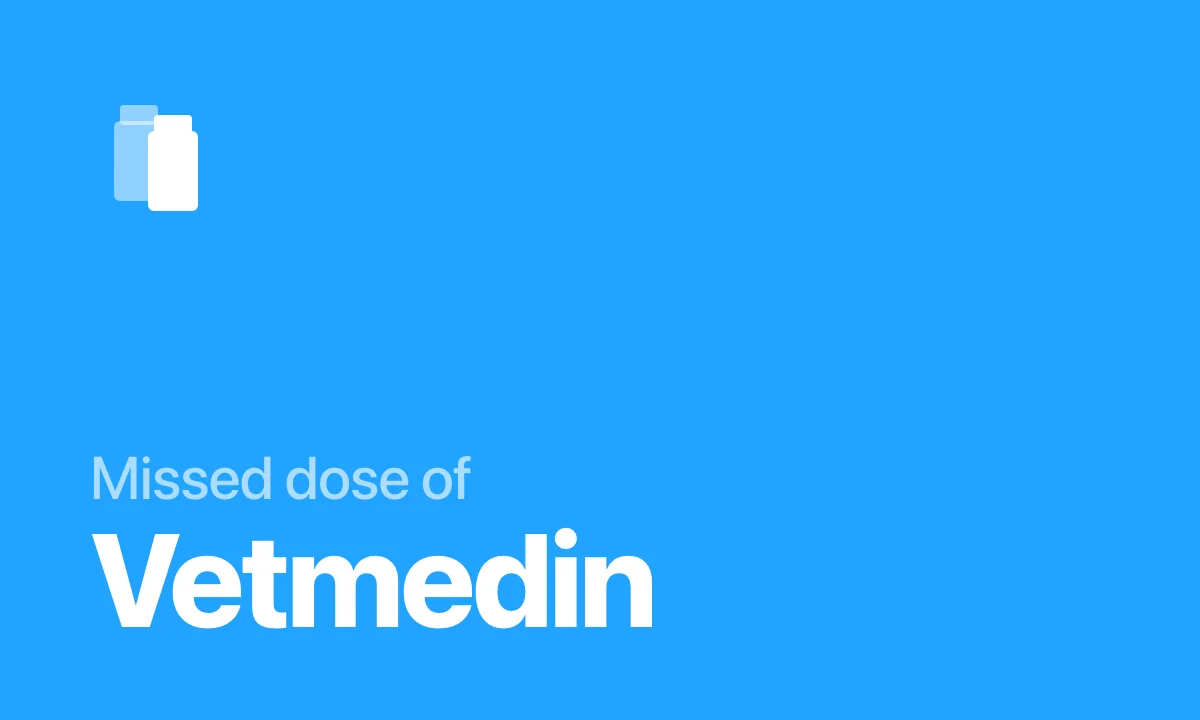Missed dose of Vetmedin
