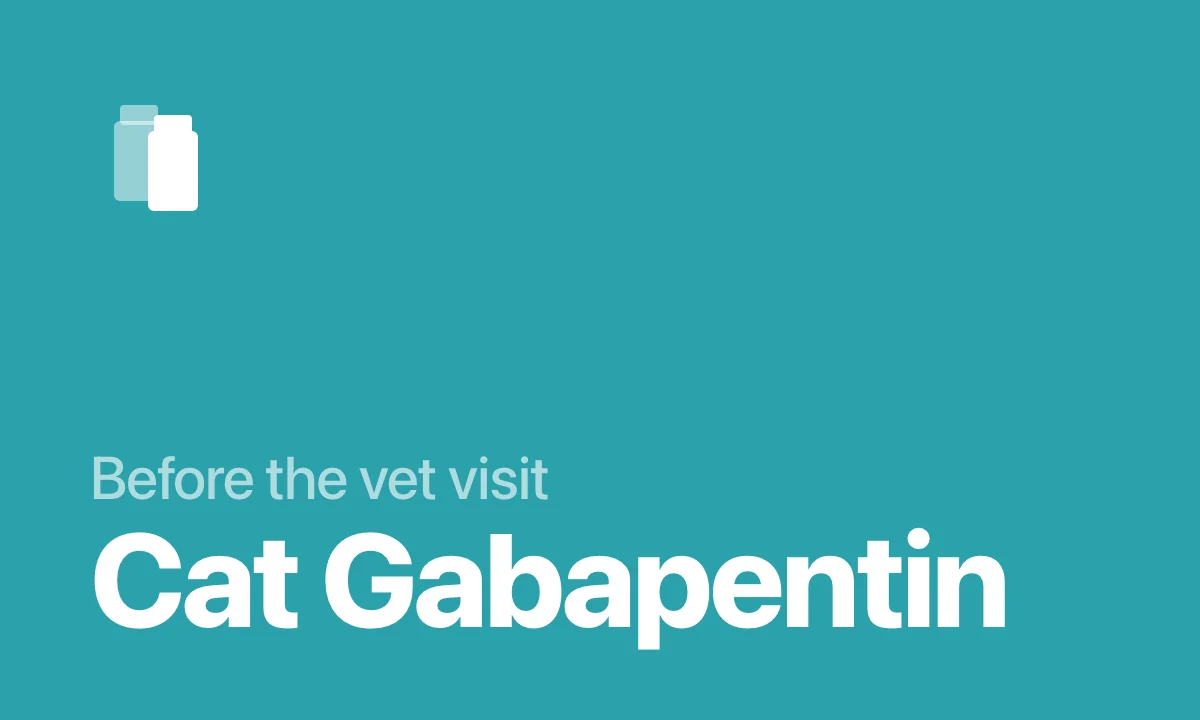 Cat gabapentin before the vet visit