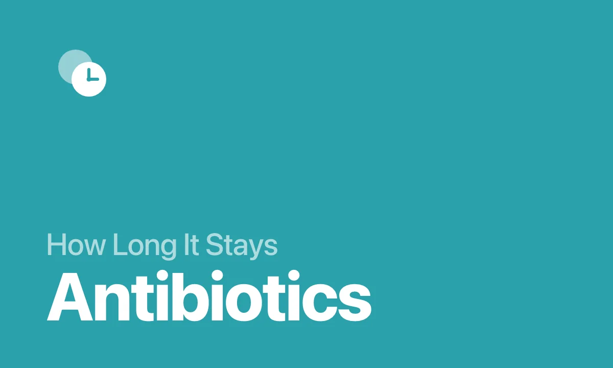 How Long It Stays Antibiotics